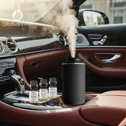 🚗 Perfume para Auto Platinum Edition